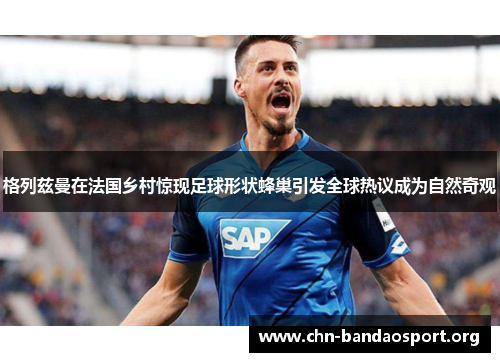 格列兹曼在法国乡村惊现足球形状蜂巢引发全球热议成为自然奇观