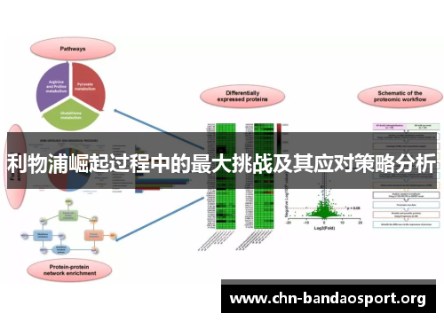 利物浦崛起过程中的最大挑战及其应对策略分析 利物浦崛起过程中的最大挑战及其应对策略分析