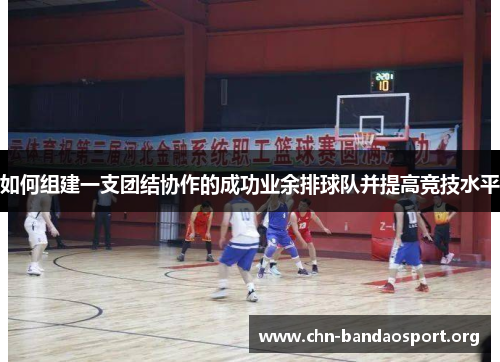 如何组建一支团结协作的成功业余排球队并提高竞技水平 如何组建一支团结协作的成功业余排球队并提高竞技水平