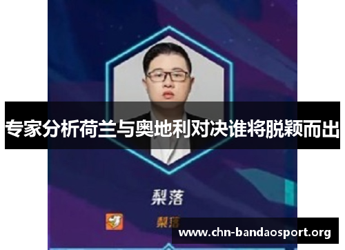 专家分析荷兰与奥地利对决谁将脱颖而出