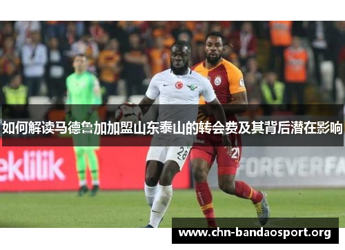 如何解读马德鲁加加盟山东泰山的转会费及其背后潜在影响 如何解读马德鲁加加盟山东泰山的转会费及其背后潜在影响