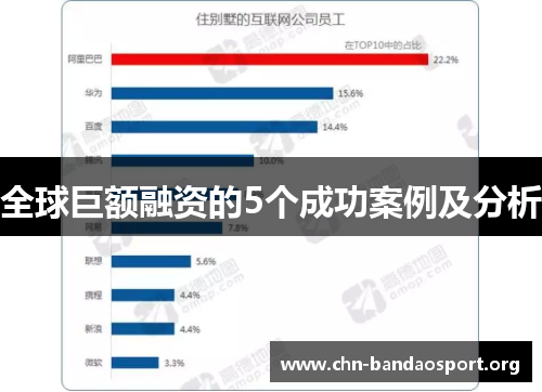 全球巨额融资的5个成功案例及分析