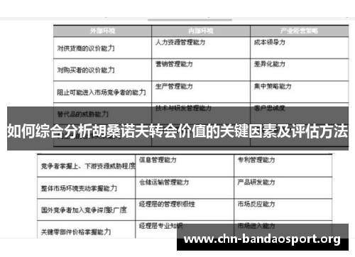 如何综合分析胡桑诺夫转会价值的关键因素及评估方法 如何综合分析胡桑诺夫转会价值的关键因素及评估方法