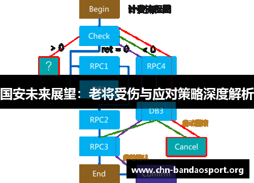 国安未来展望：老将受伤与应对策略深度解析