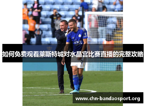 如何免费观看莱斯特城对水晶宫比赛直播的完整攻略 如何免费观看莱斯特城对水晶宫比赛直播的完整攻略
