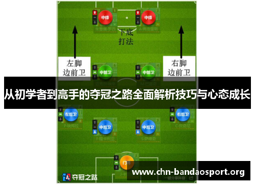 从初学者到高手的夺冠之路全面解析技巧与心态成长
