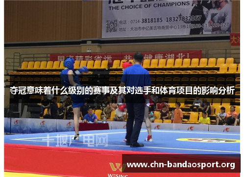 夺冠意味着什么级别的赛事及其对选手和体育项目的影响分析