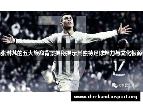 张琳芃的五大族裔背景揭秘揭示其独特足球魅力与文化根源