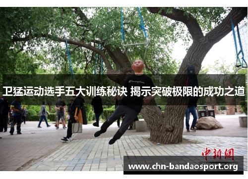 卫猛运动选手五大训练秘诀 揭示突破极限的成功之道 卫猛运动选手五大训练秘诀 揭示突破极限的成功之道