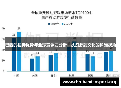 巴西的独特优势与全球竞争力分析：从资源到文化的多维视角