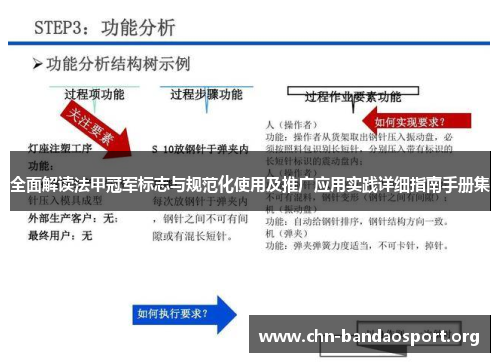 全面解读法甲冠军标志与规范化使用及推广应用实践详细指南手册集 全面解读法甲冠军标志与规范化使用及推广应用实践详细指南手册集